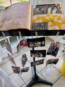 IMG 7351
